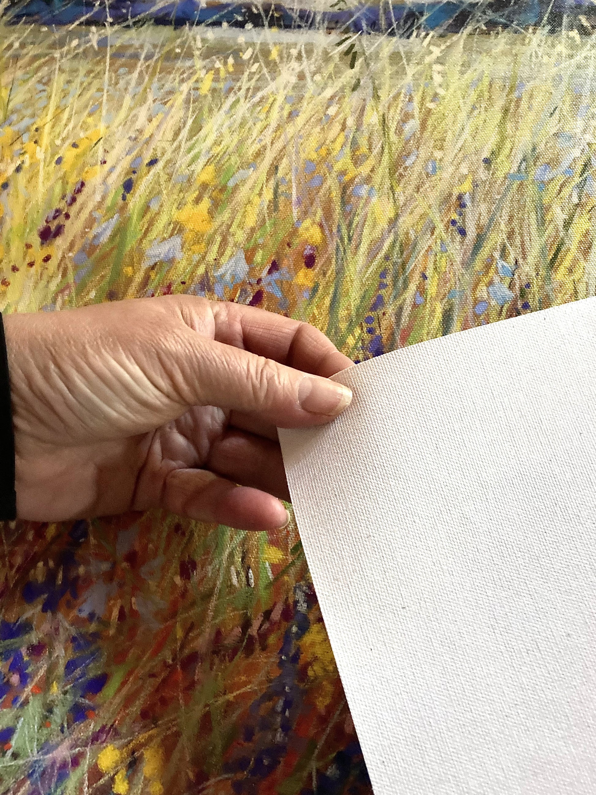 Giclee canvas print showing texture of canvas.