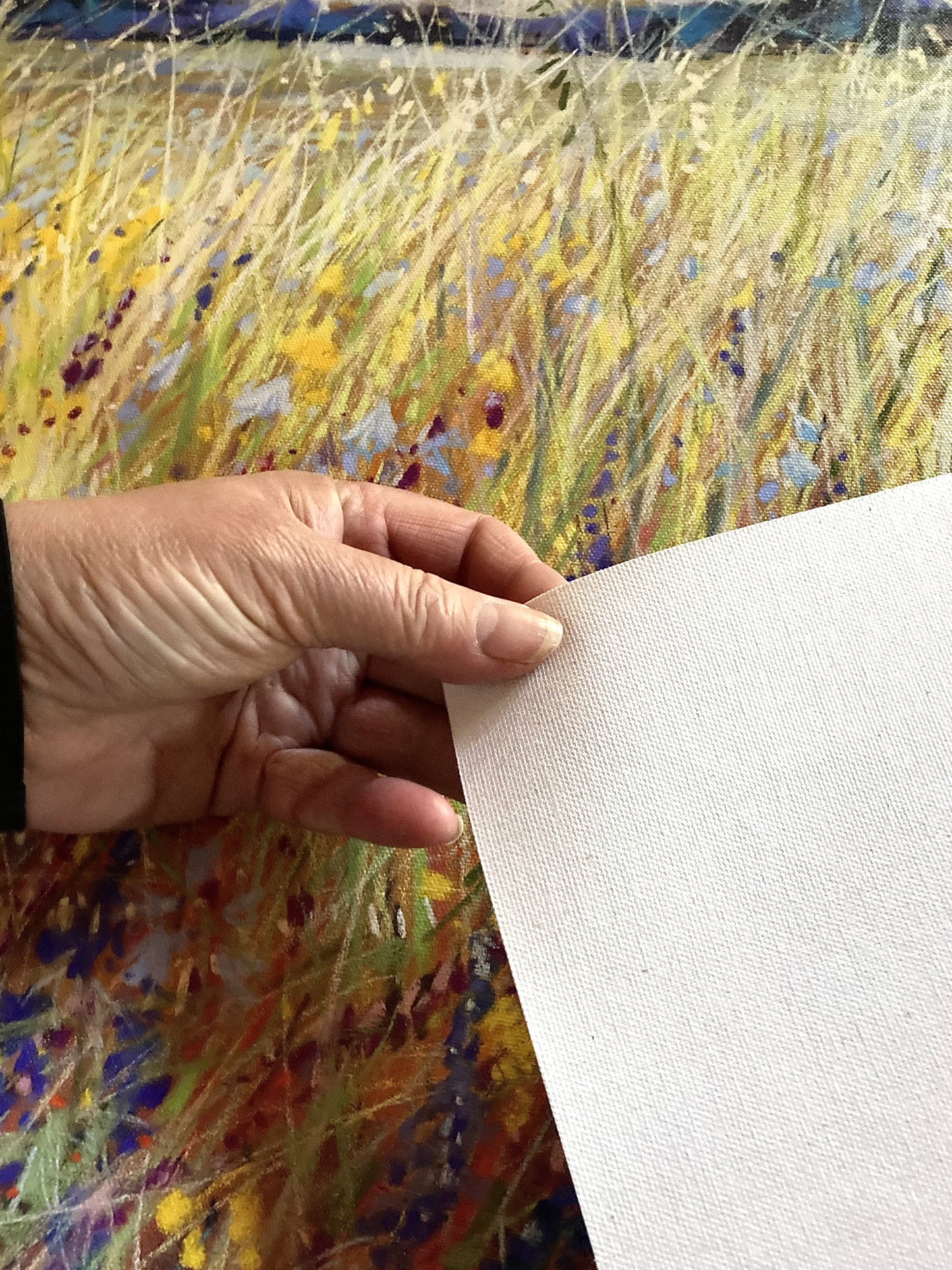 Image of texture of canvas.