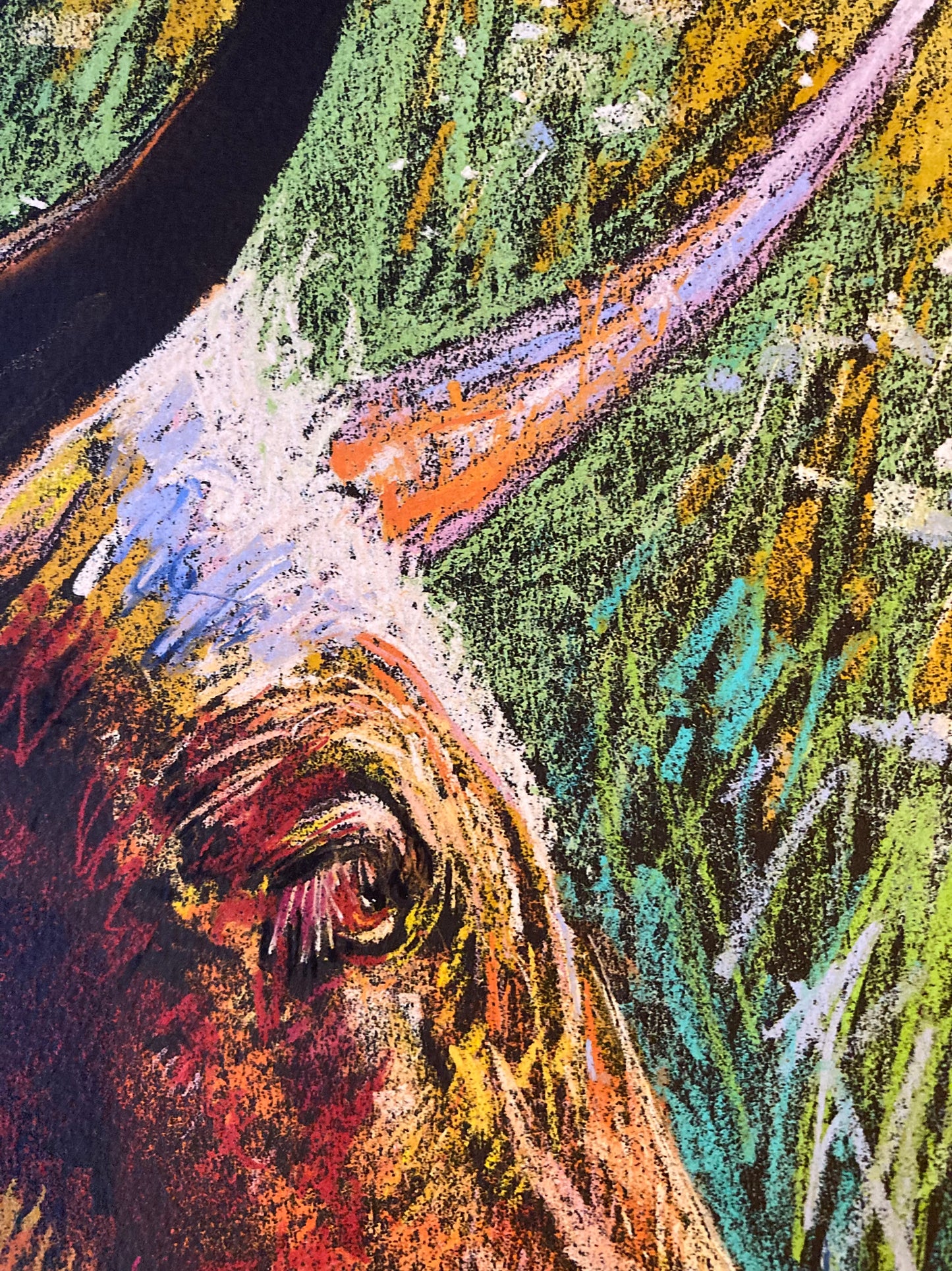 close up of eye and details