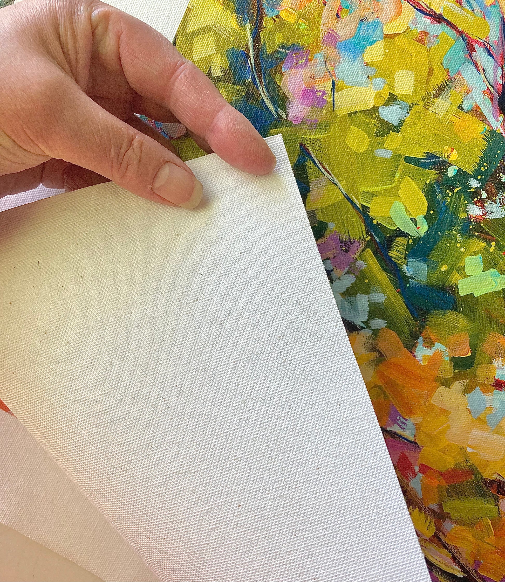 Showing texture of canvas