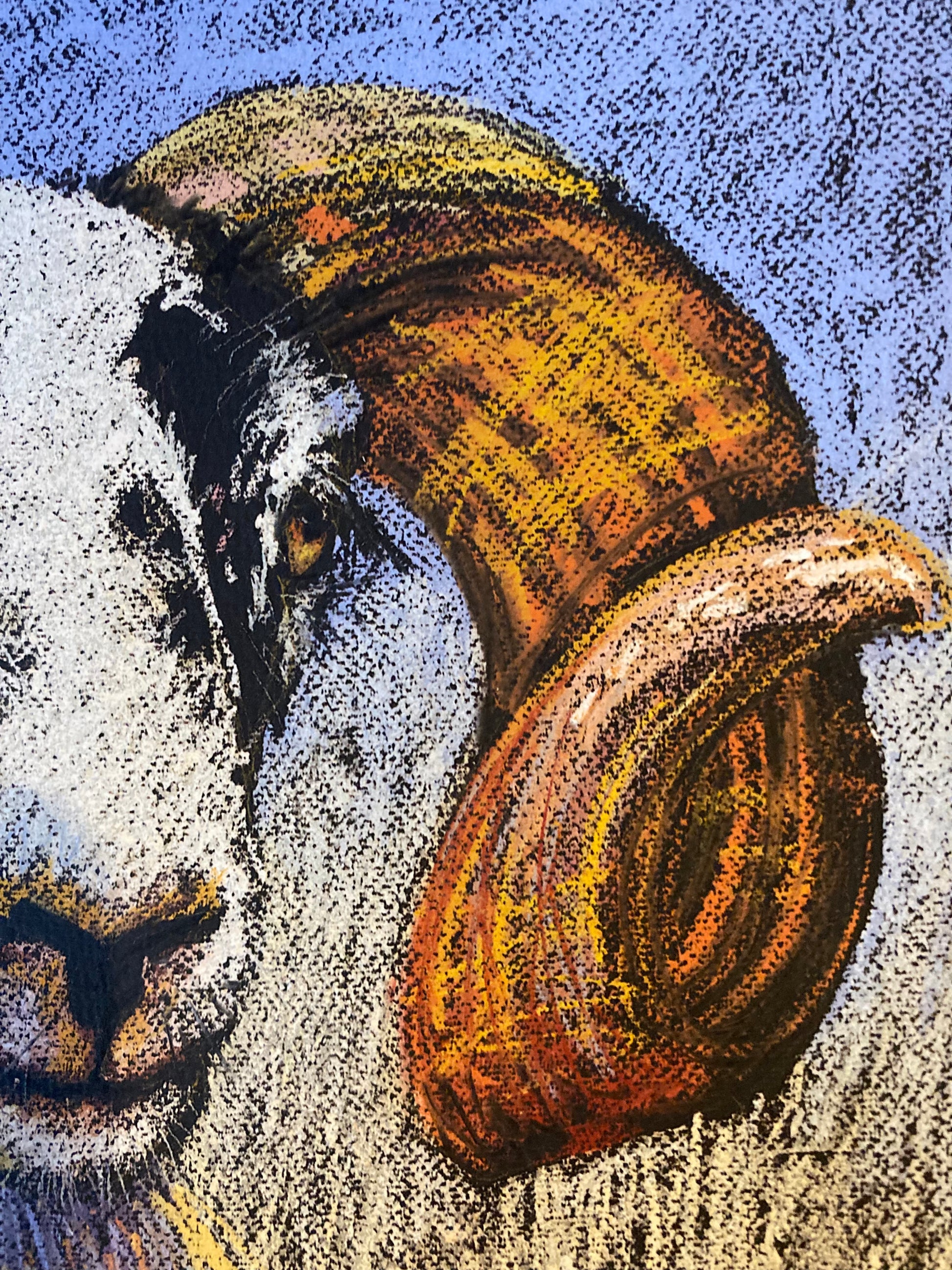 Close up of sheep's face soft pastel.