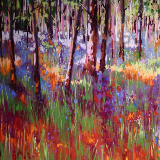 Dappled Shade Of Bluebell Woods