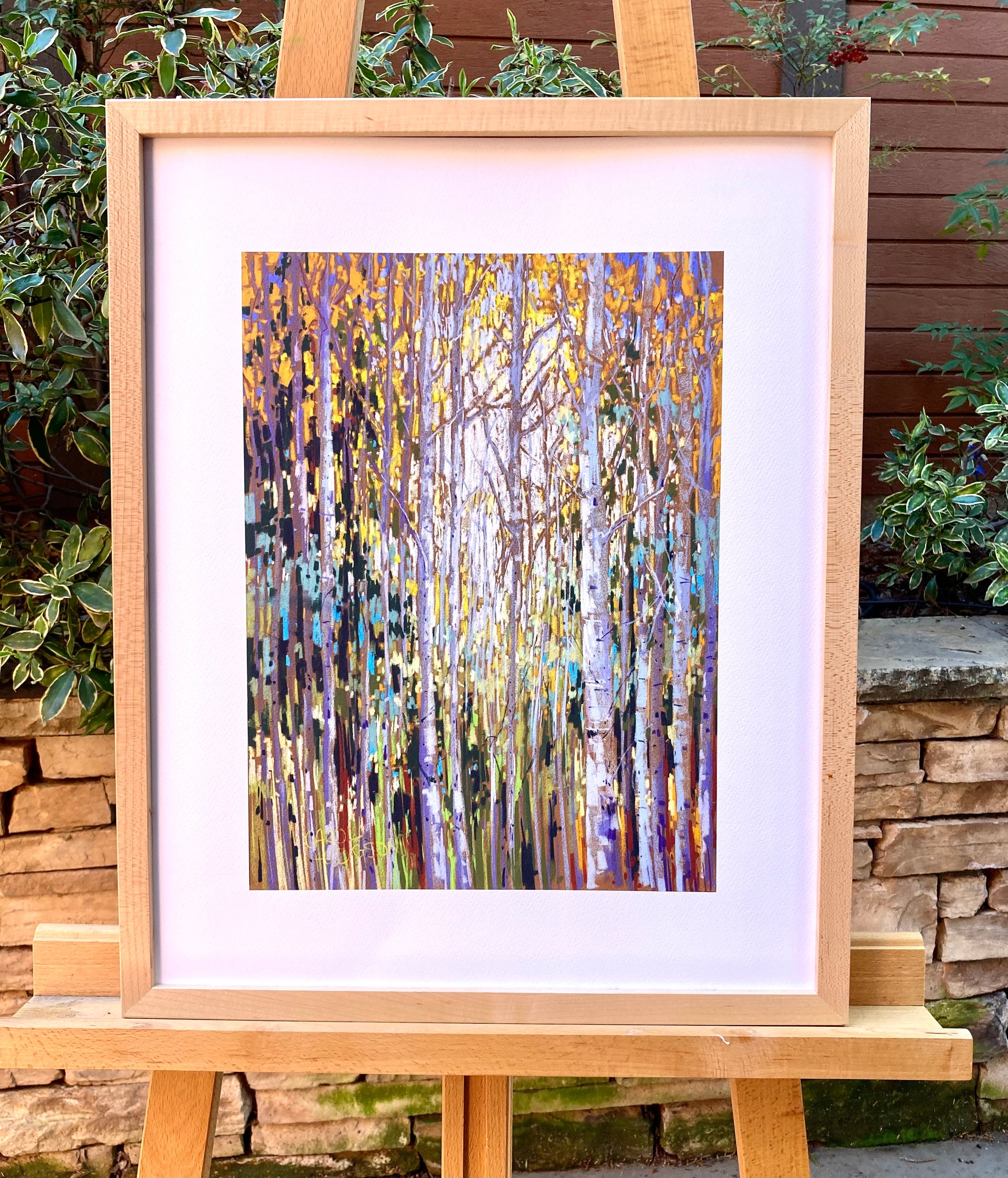 Example of Aspen Delight paper print in a wooden  frame