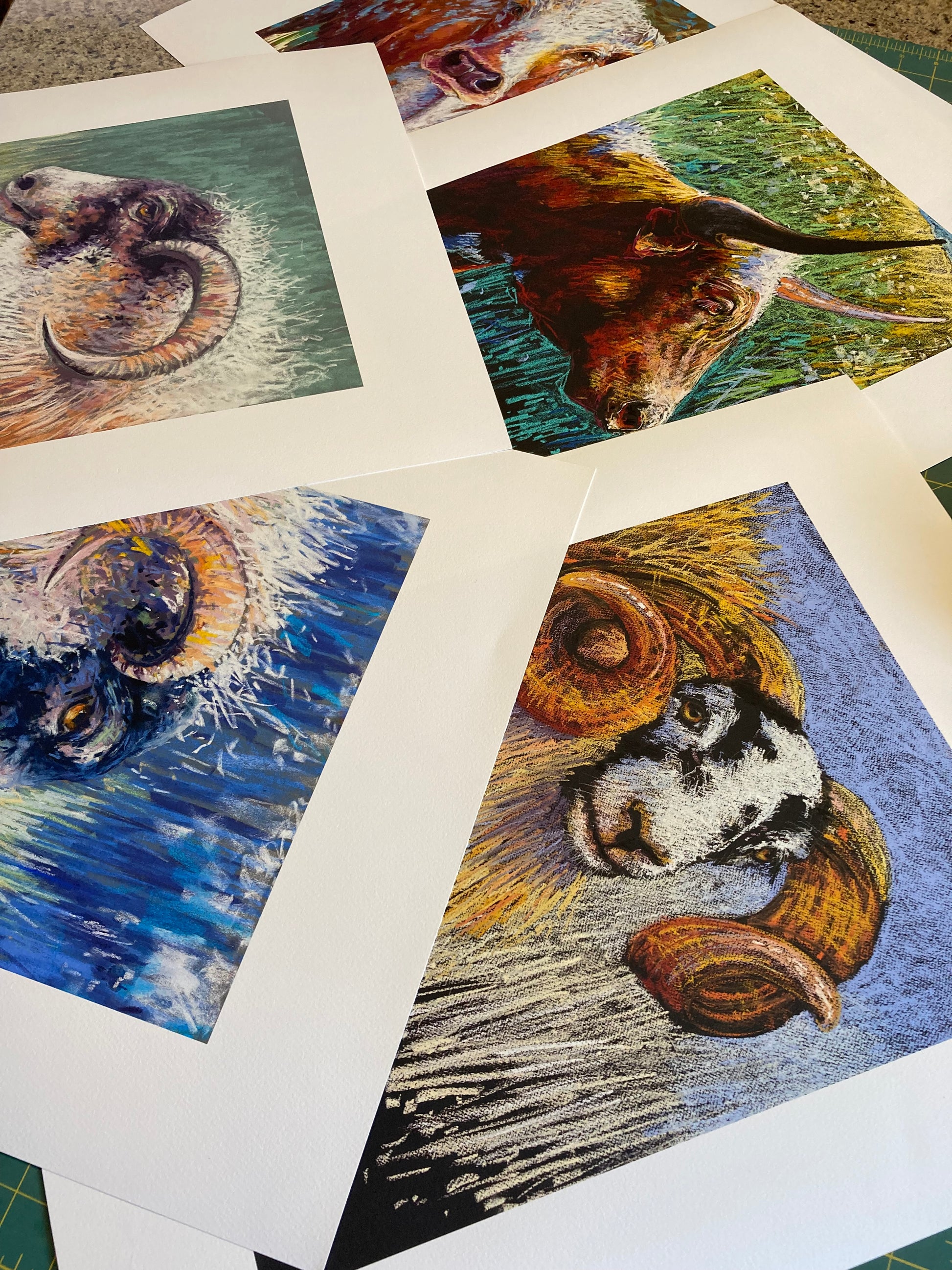 Collection of animal prints