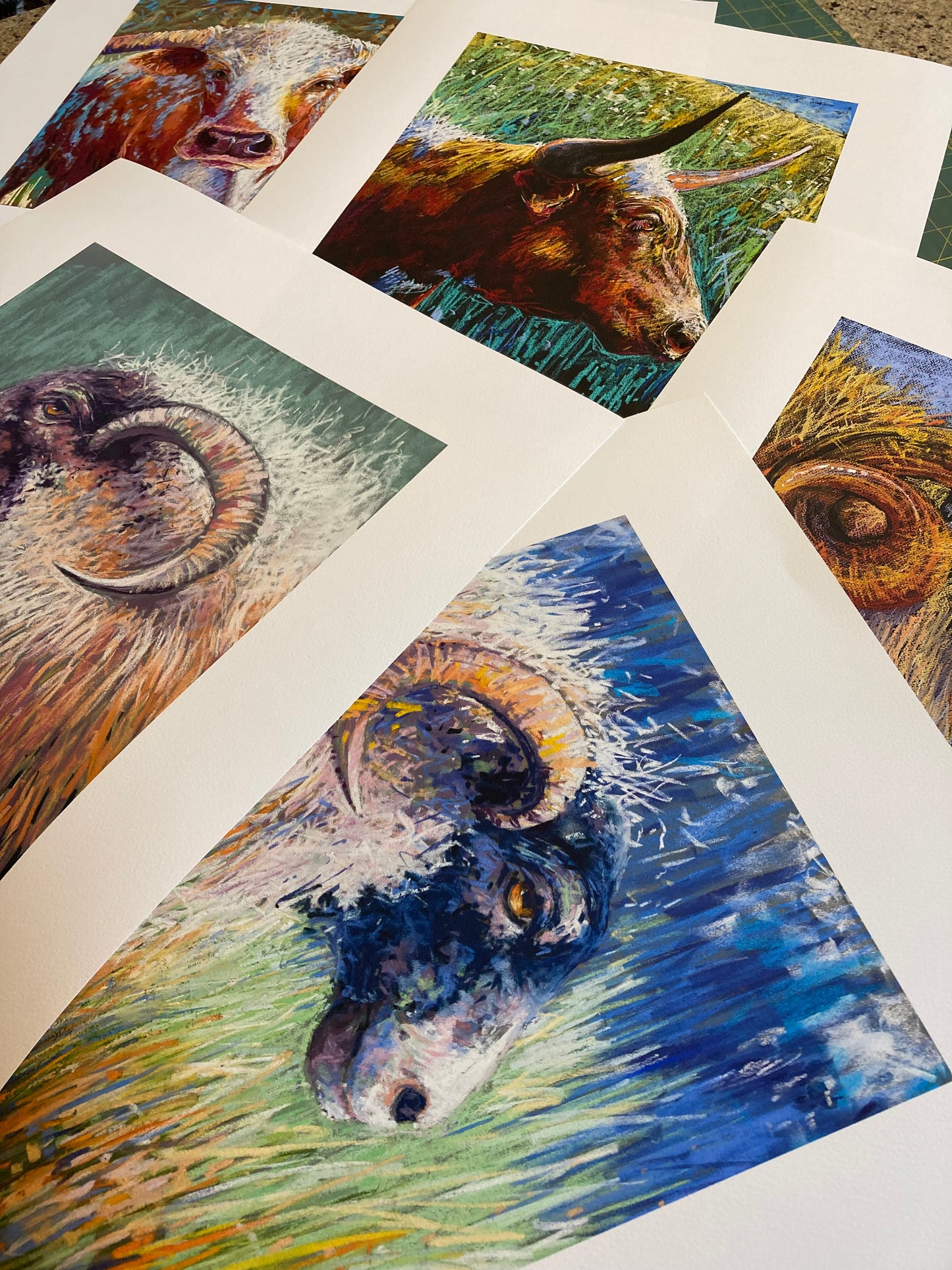 Selection of animal prints