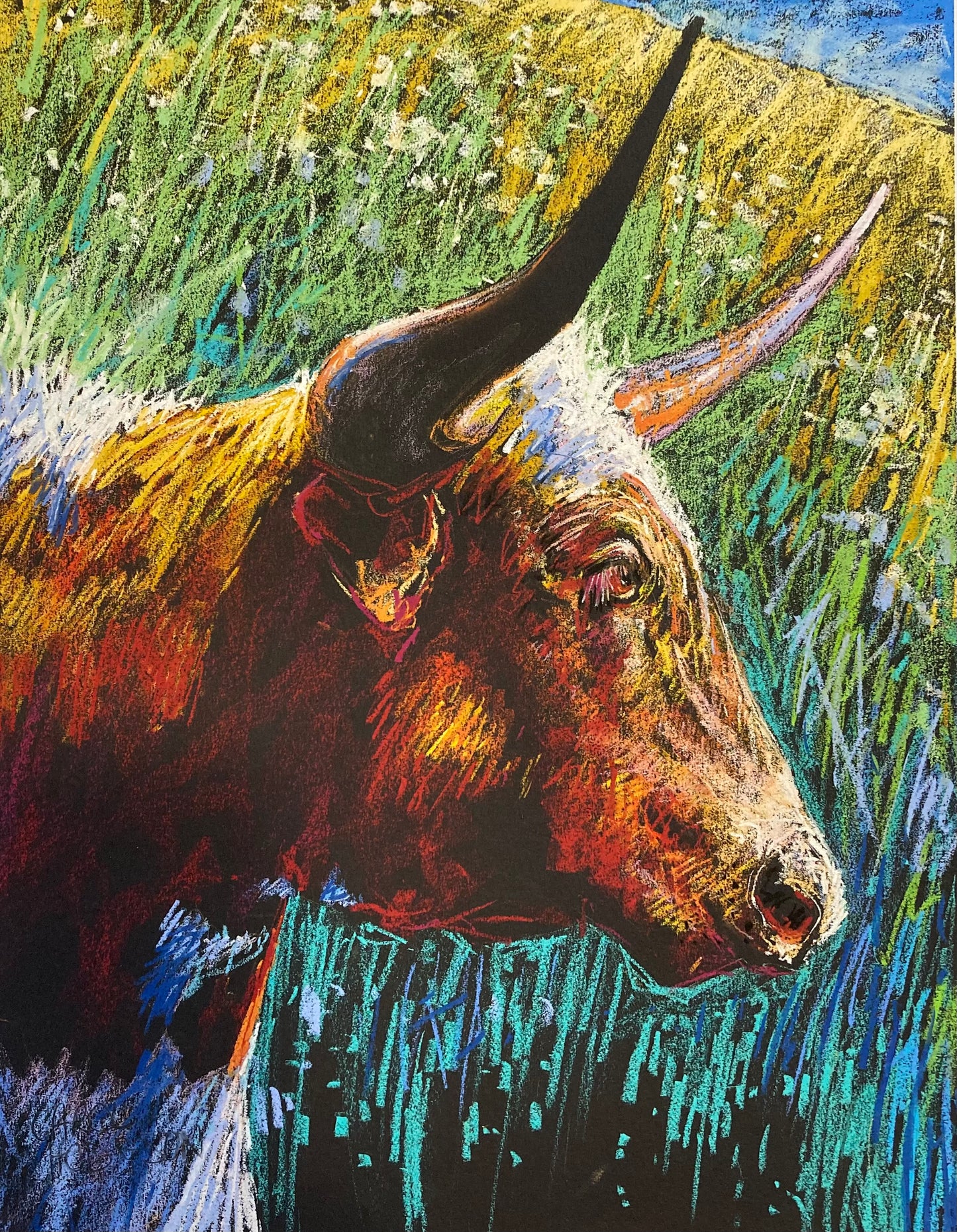 Longhorn Cow print on paper