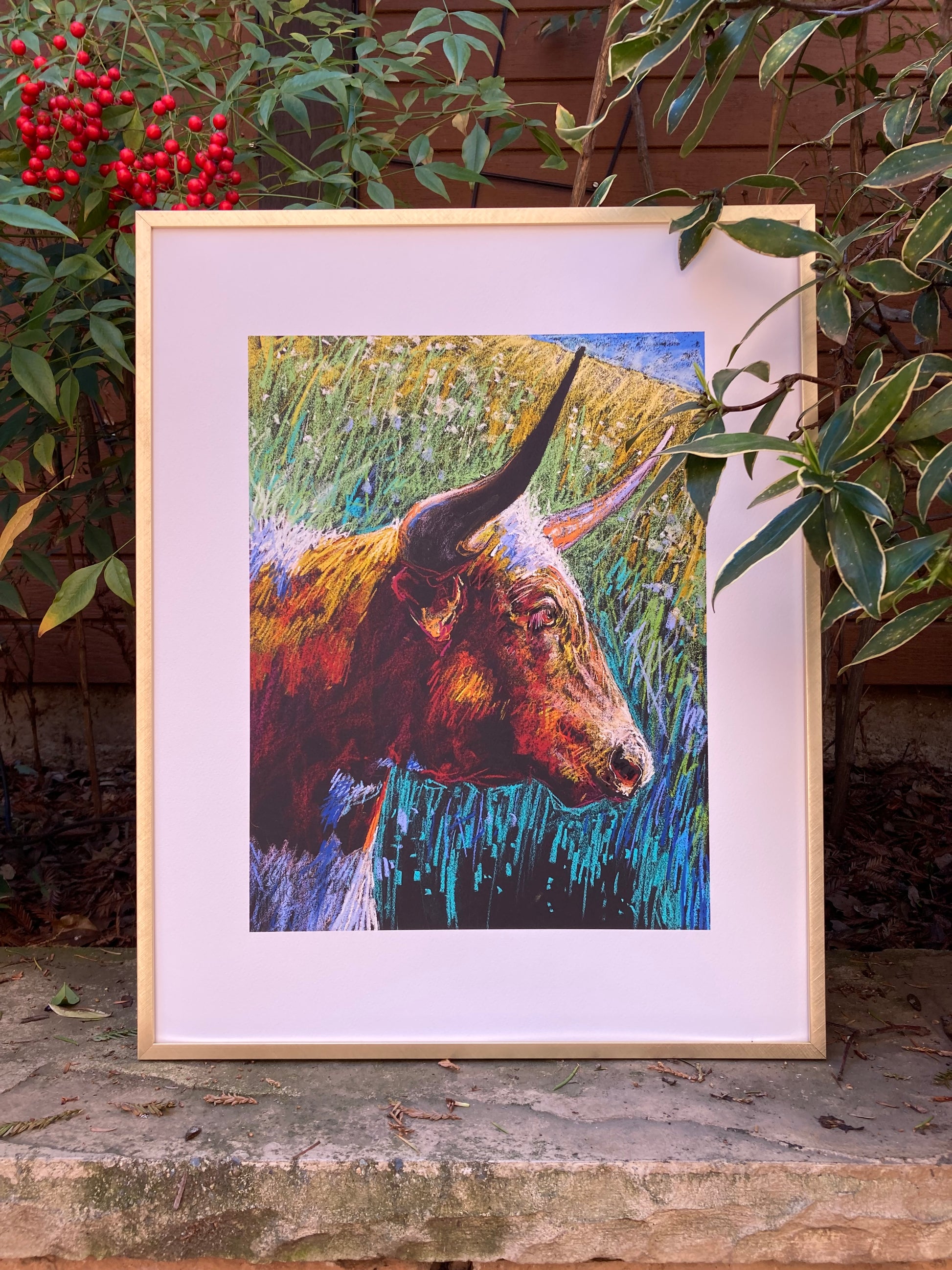 Example of Longhorn Meadow print in gold frame