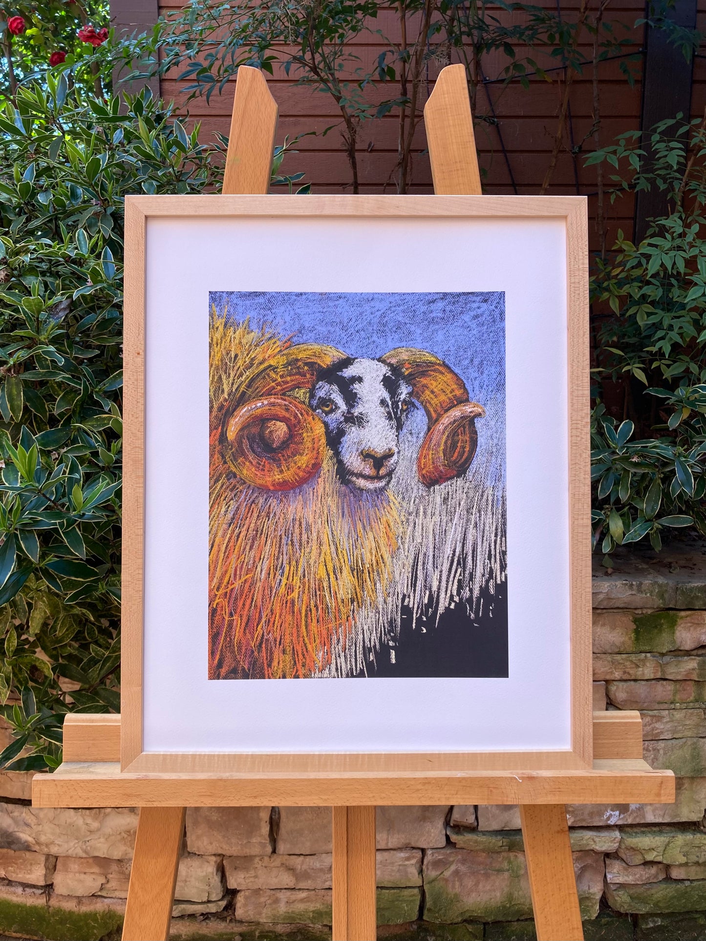 Swaledale Sheep in example wooden frame.